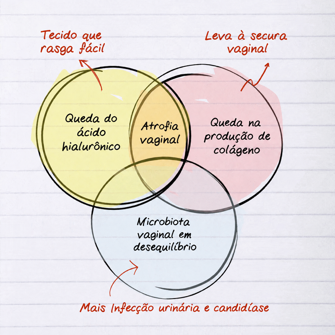 Desenho à mão explicando o que acontece com o tecido vaginal depois da menopausa